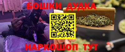 мдпв Будённовск
